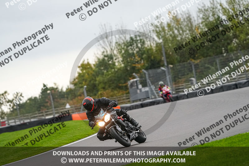 03-02-2019 Grantham Pegasus Trial Stainby;donington no limits trackday;donington park photographs;donington trackday photographs;enduro digital images;eventdigitalimages;no limits trackdays;peter wileman photography;trackday digital images;trackday photos